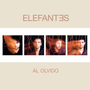 Download track Al Olvido Elefantes