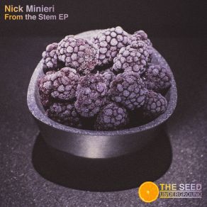 Download track Get To Work Nick Minieri