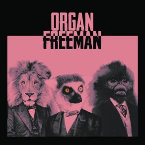 Download track Life's A Bench Organ Freeman