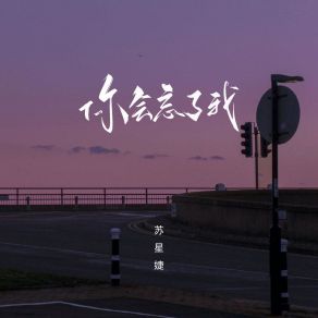 Download track 你会忘了我 (1.5X) 苏星婕