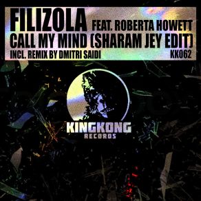 Download track Call My Mind (Sharam Jey Edit) Roberta HowettSharam Jey