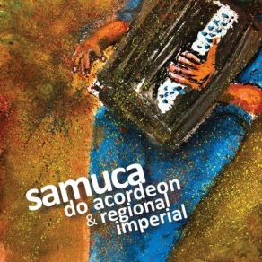 Download track Choro Pro Deni' Samuca Do Acordeon