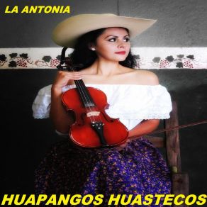 Download track Ordenando La Vaca Huapangos Huastecos