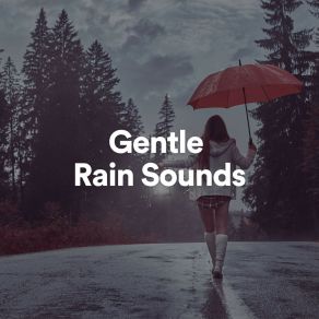 Download track Pretty Darn Nice Best Rain Sounds ASMR