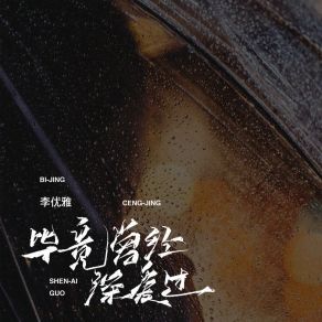 Download track 毕竟曾经深爱过 (伴奏) 李优雅