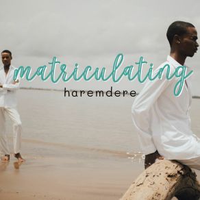 Download track Added Haremdere