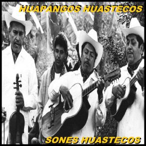 Download track Las 2 Huastecas Huapangos Huastecos