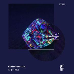 Download track Sneg (Original Mix) Seething Flow