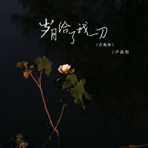 Download track 岁月给了我一刀 (DJ版伴奏) 卢焱恒