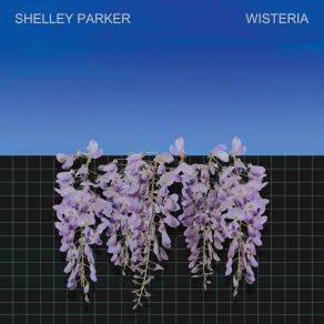 Download track Deepfield Way Shelley Parker