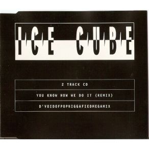 Download track D'Voidofpopniggafiedmegamix Ice Cube