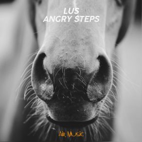 Download track Angry Steps Lus