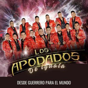 Download track Esa Pareja / El Baile Del Gavilán / Lambada (En Vivo) Los Apodados De Iguala