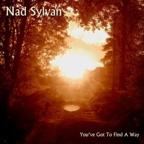 Download track You've Got To Find A Way (Single Version) Nad Sylvan