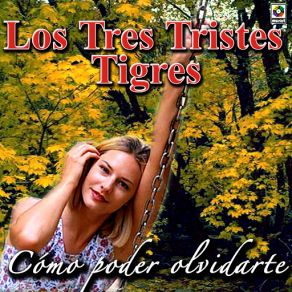 Download track Cuando Llega El Verano Los Tres Tristes Tigres