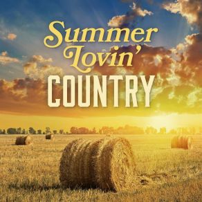 Download track Sweet Sweet Sunshine The Farm Inc.