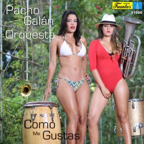 Download track El Gallo Patón (Instrumental) Su Orquesta