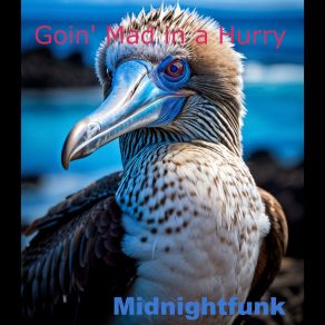 Download track Manufacturer Midnightfunk