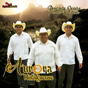 Download track Tres Colores Trio Aurora Hidalguense