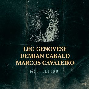 Download track Stone Believer Leo Genovese