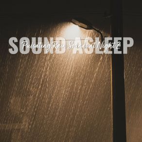 Download track Pulsating Rain Sounds At Night, Pt. 2 Elijah Wagner