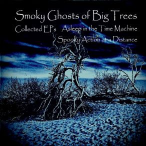 Download track Dead Ringer For A Sinister Man Smoky Ghosts Of Big Trees