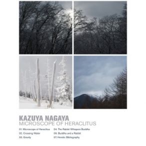 Download track Microscope Of Heraclitus Kazuya Nagaya