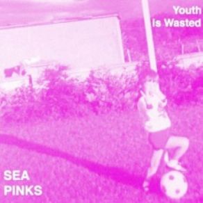 Download track Evening, Dreaming Of Empire Sea Pinks