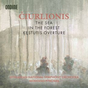 Download track In The Forest Lithuanian National Symphony Orchestra, Modestas Pitrenas