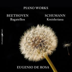 Download track Kreisleriana, Op. 16 Fantasien No. 3, Sehr Aufgeregt Eugenio De Rosa