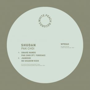 Download track No Shadow Kick Shudan