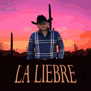 Download track La Liebre (En Vivo) Edgar Valencia