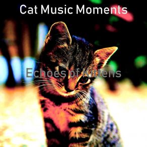 Download track Grand Backdrops For Cute Cats Cat Music Moments