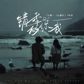 Download track 错季的你我 (和声伴奏) 王唯一 (九姨太)