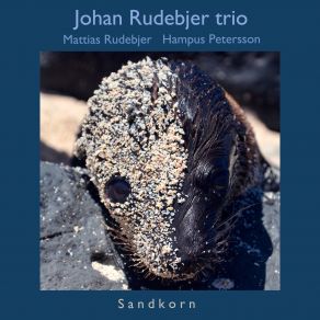 Download track Sandkorn Johan Rudebjer Trio