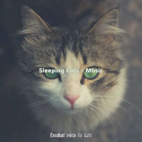 Download track Memories (Relaxing Cats) Excellent Music For Cats