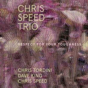 Download track Attention Flaws Chris Speed Trio