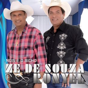 Download track Empregada Boa Zé De Souza E Ronyel