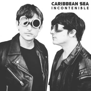 Download track Reptil Caribbean Sea