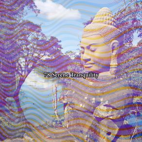 Download track Magical Mind Lullabies For Deep Meditation