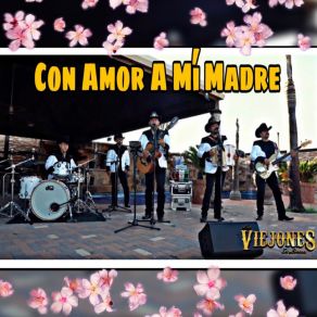 Download track Despedida Con Mariachi Los Viejones De Linares