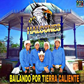 Download track El Anillo Halcones De Tierra Caliente