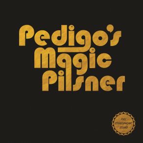 Download track Garage Sale Pedigo's Magic PilsnerJohn Pedigo