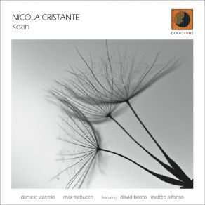 Download track Koan Nicola Cristante