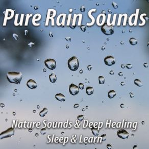 Download track Thunder With Light Rain Drops And Birds For Meditation John Nature