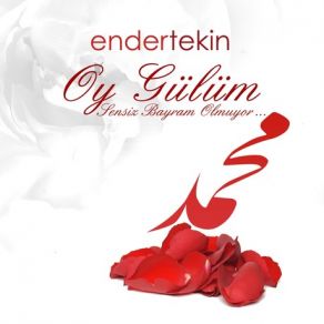 Download track Oy Gülüm Ender Tekin