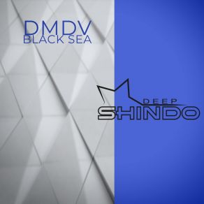 Download track Black Sea (Original Mix) Dmdv