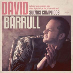 Download track Estoy Hecho De Pedacitos De Ti David Barrull