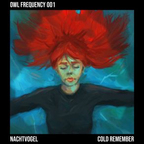 Download track Cold Remember Nachtvogel