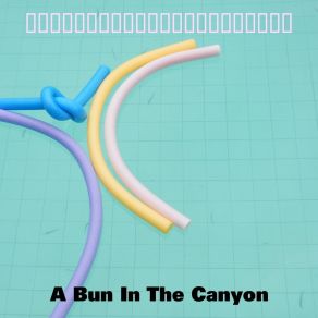 Download track Never A Dull Moment A Bun In The Canyon